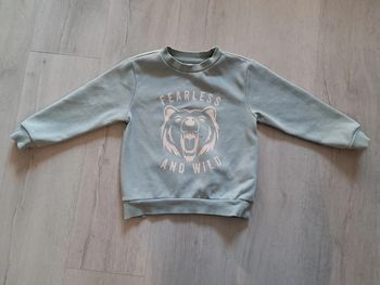 Sweat tigre