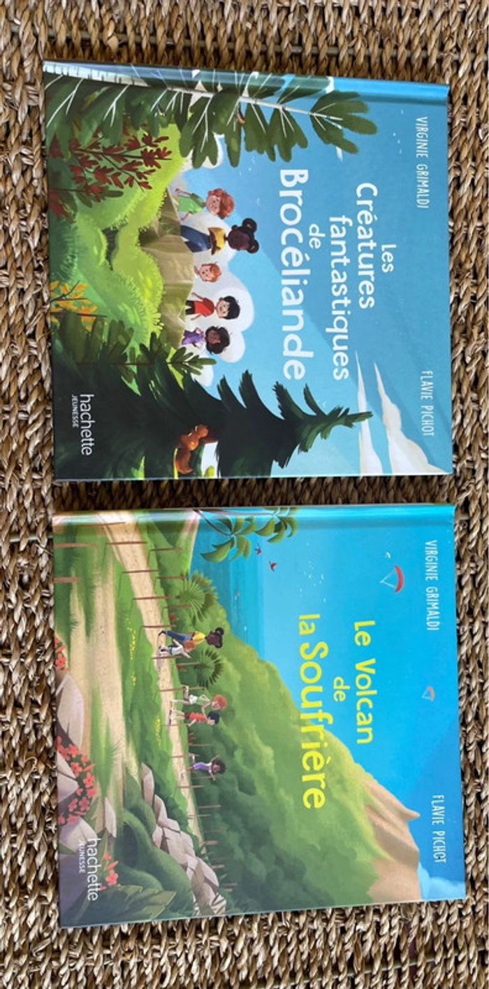 Livre les merveilles de France
