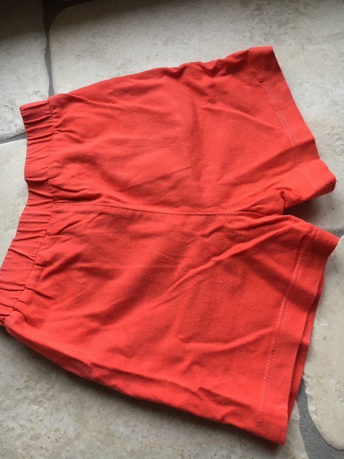 Ensemble Némo - photo numéro 4