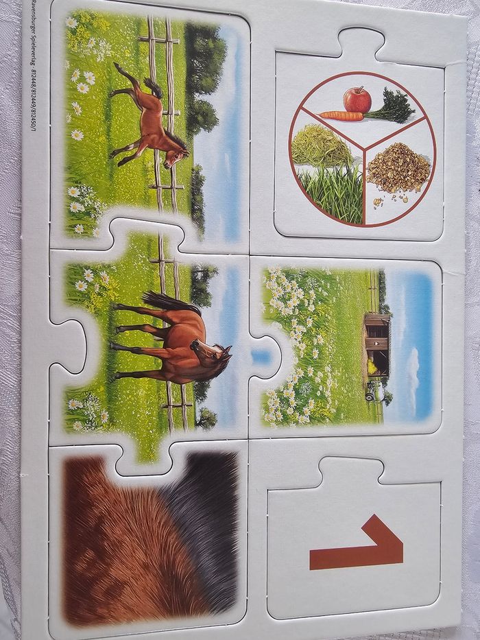 Jeux interactif - photo numéro 3