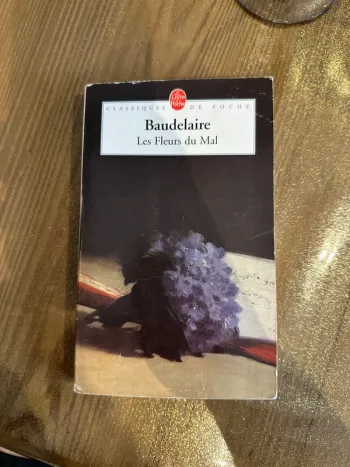 Livre Baudelaire, les fleurs du mal