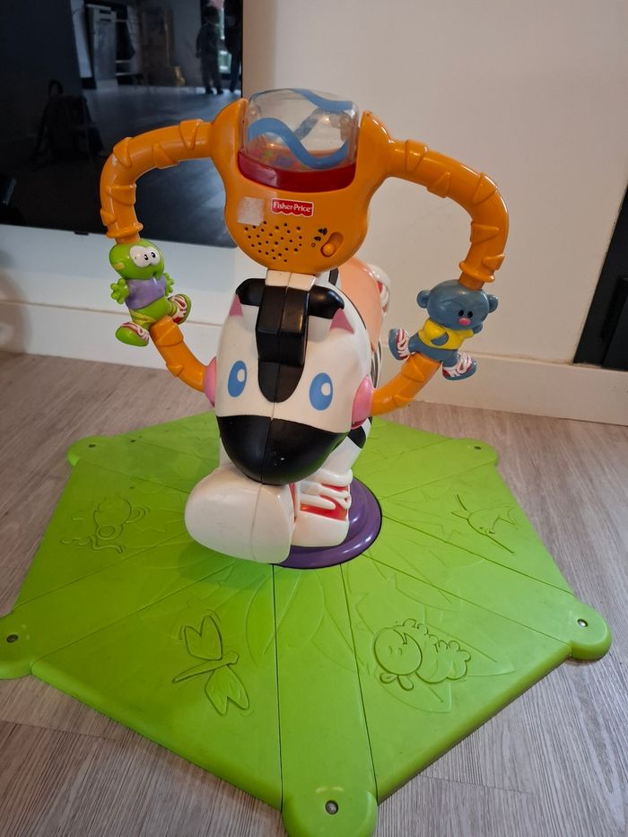 Zèbre tourni rebond