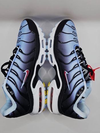 Nike Tn Air Max Plus taille 41 neuves avec boîte – expédition rapide