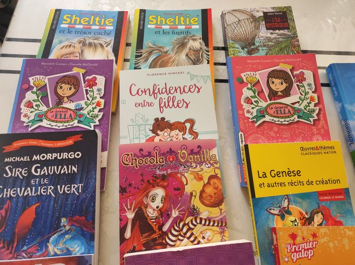 Livres - photo numéro 3