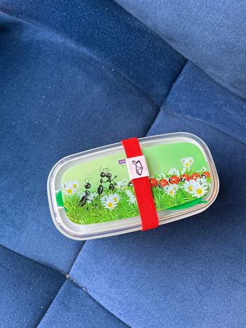 Boîte de repas sergent major