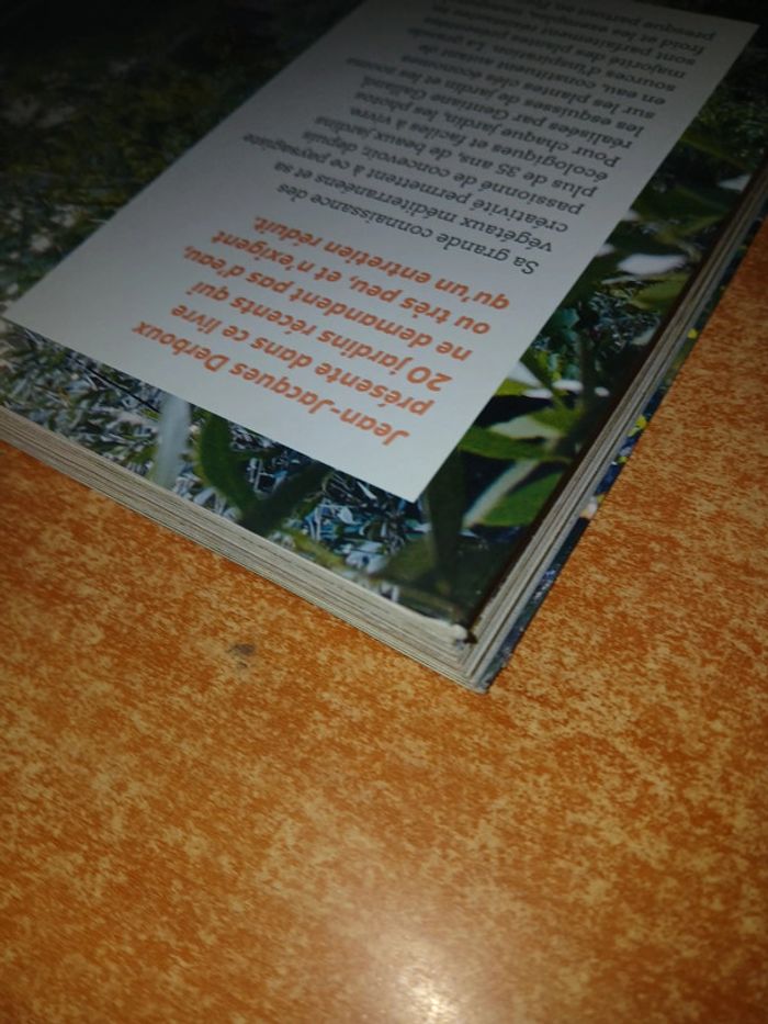 Un jardin sans arrosage - photo numéro 4