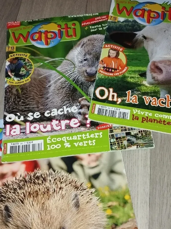 Lot de 7 magazines Wapiti année 2008-09 L025 - photo numéro 7