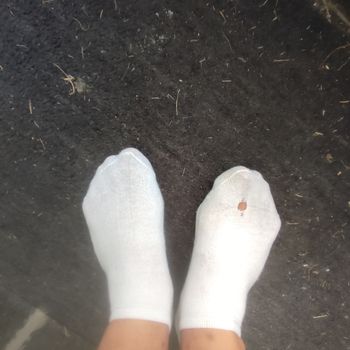 Chaussettes