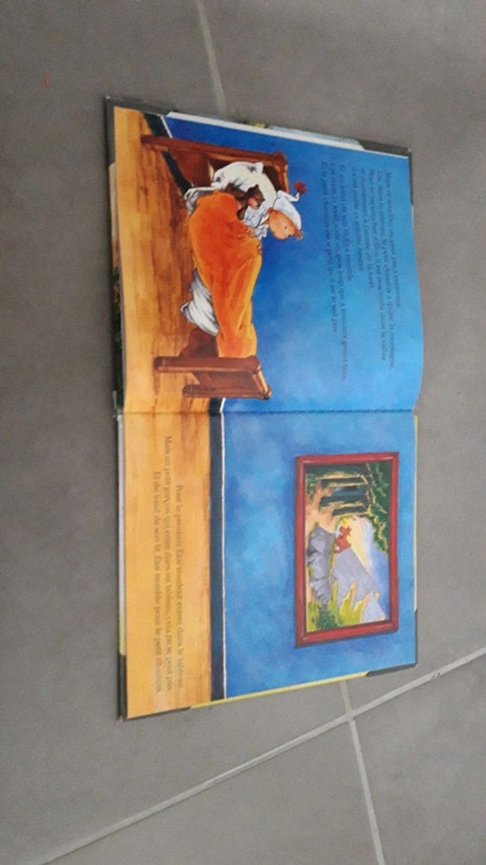 Eloi et le chamois - photo numéro 3