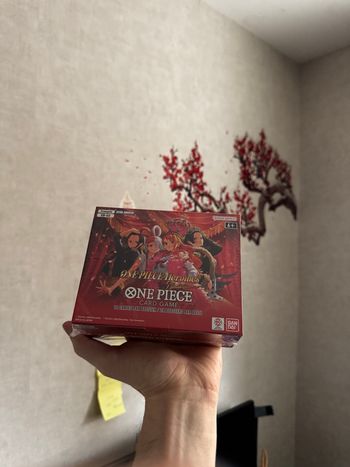 Display eb03 one piece 