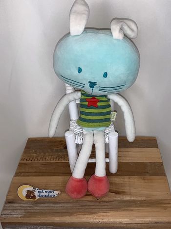 DP30 doudou lapin 🐰 DPAM