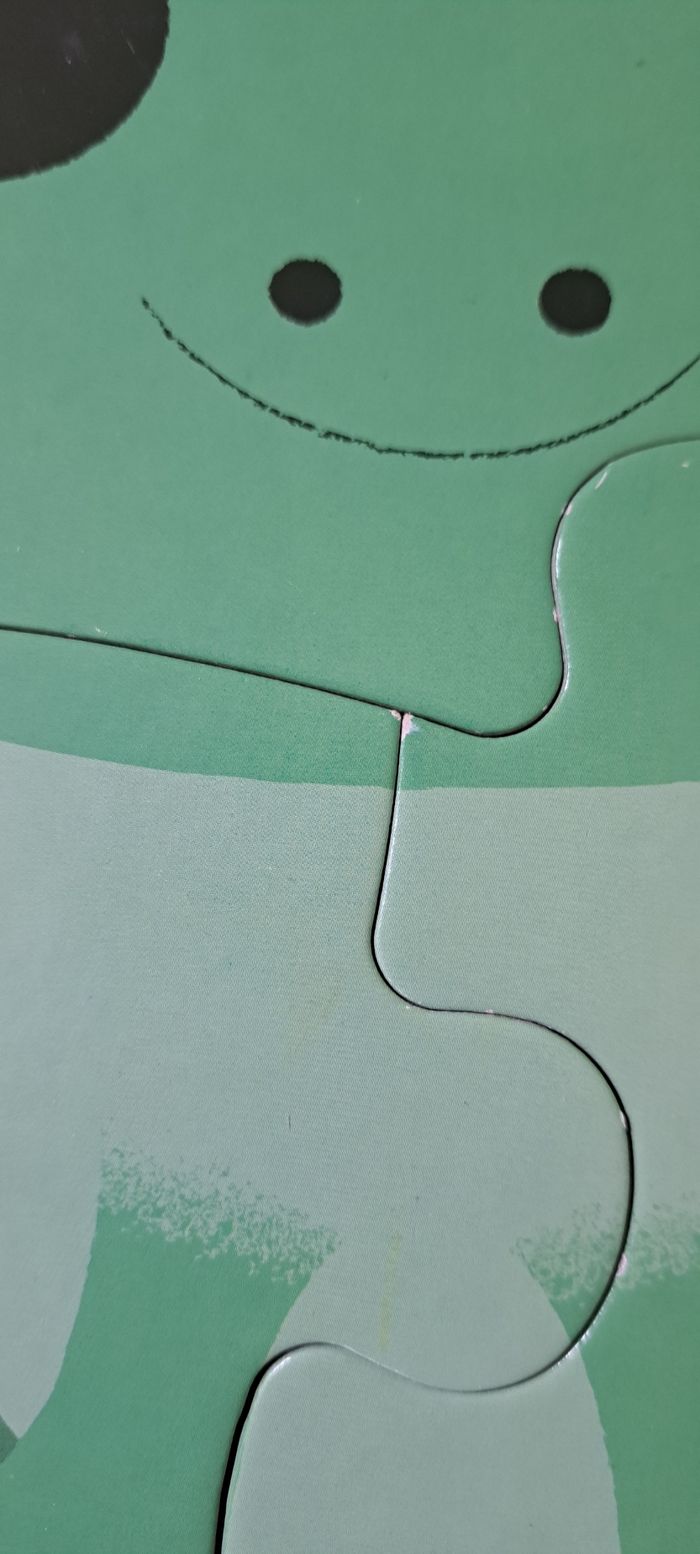 Puzzle - photo numéro 8