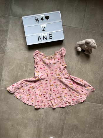 Robe zèbre