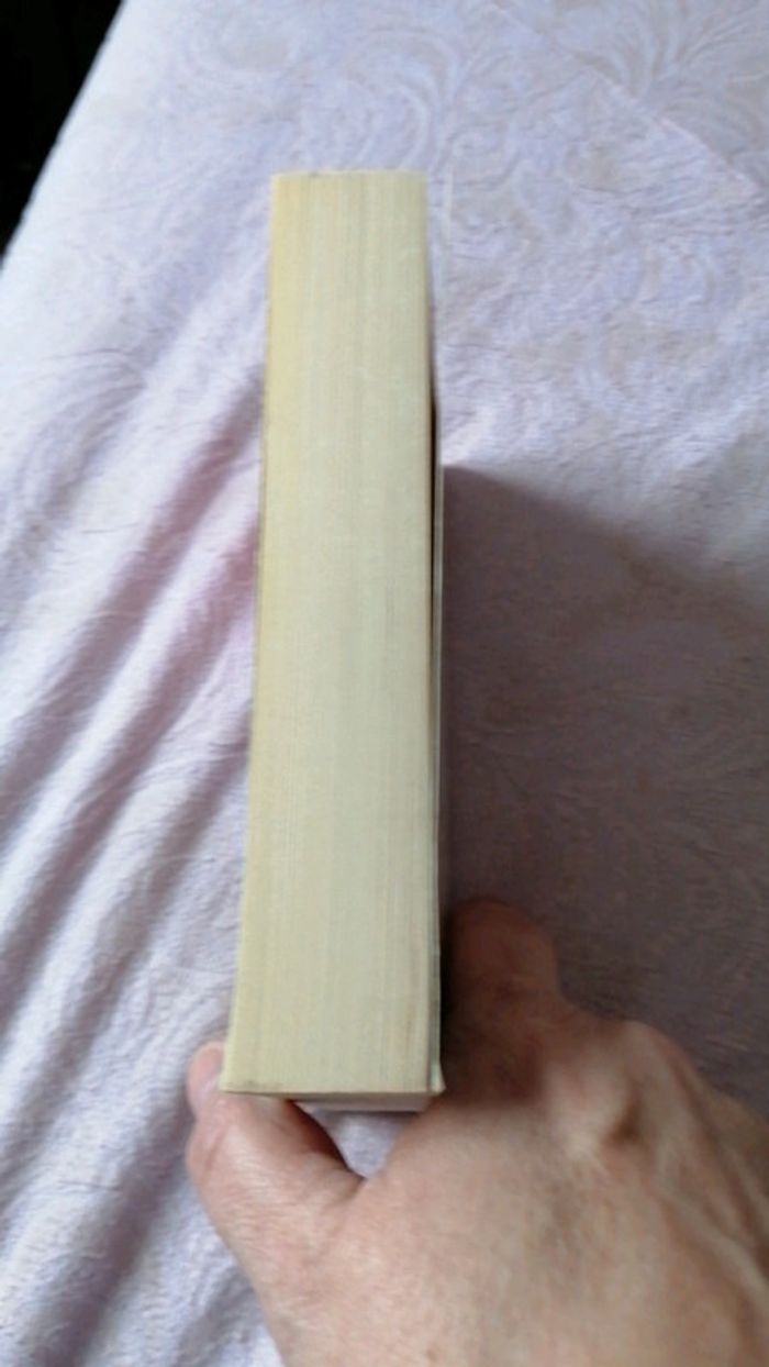 Disparue - photo numéro 4