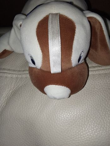 doudou peluche chien gsa sucre d'orge bicolore blanc et marron foncé ruban satin bleu foncé au cou allongé sur le ventre vintage ancien