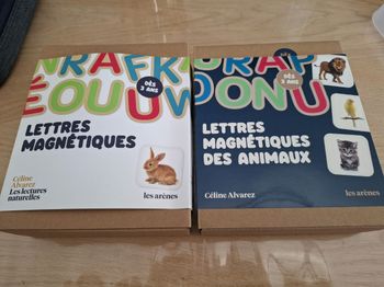 Lot des 2 boîtes Lettres magnétiques de Celine Alvarez 