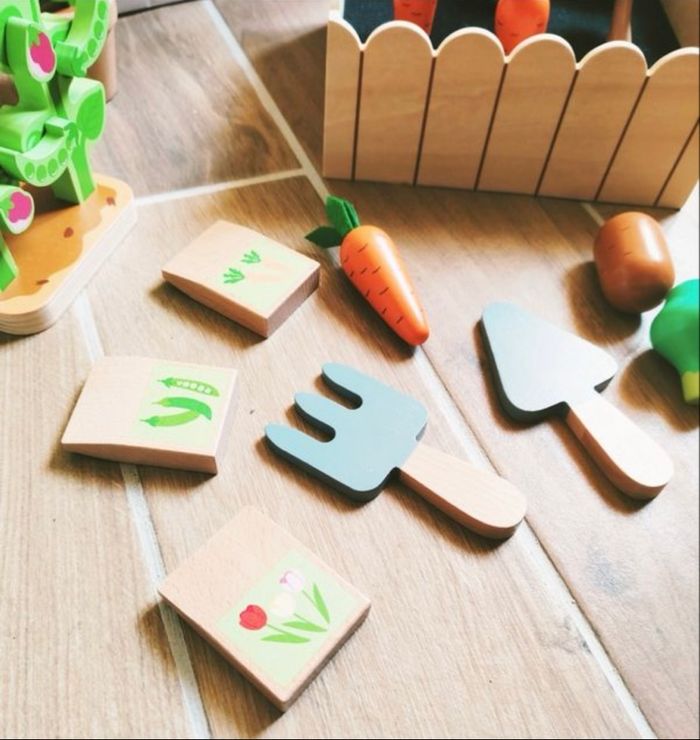 Mon premier potager - photo numéro 4