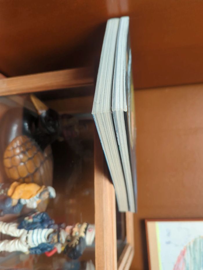 Sanctuaire reminded T.1 et T.2 - photo numéro 6