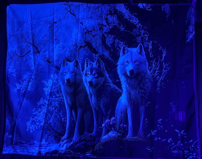 Toile murale décorative loups - photo numéro 4