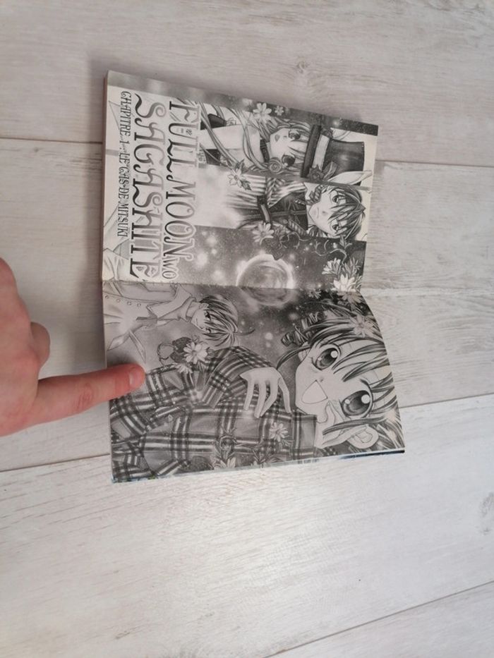 Manga Shojo : Full Moon - photo numéro 4