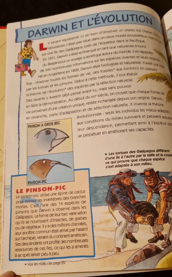 Il était une fois l'homme et la terre fut .. les premiers hommes ! - photo numéro 3