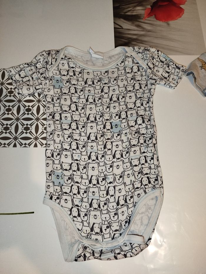 Lot body - photo numéro 3