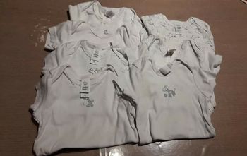 Lot de 7 bodies mixte baby club 74