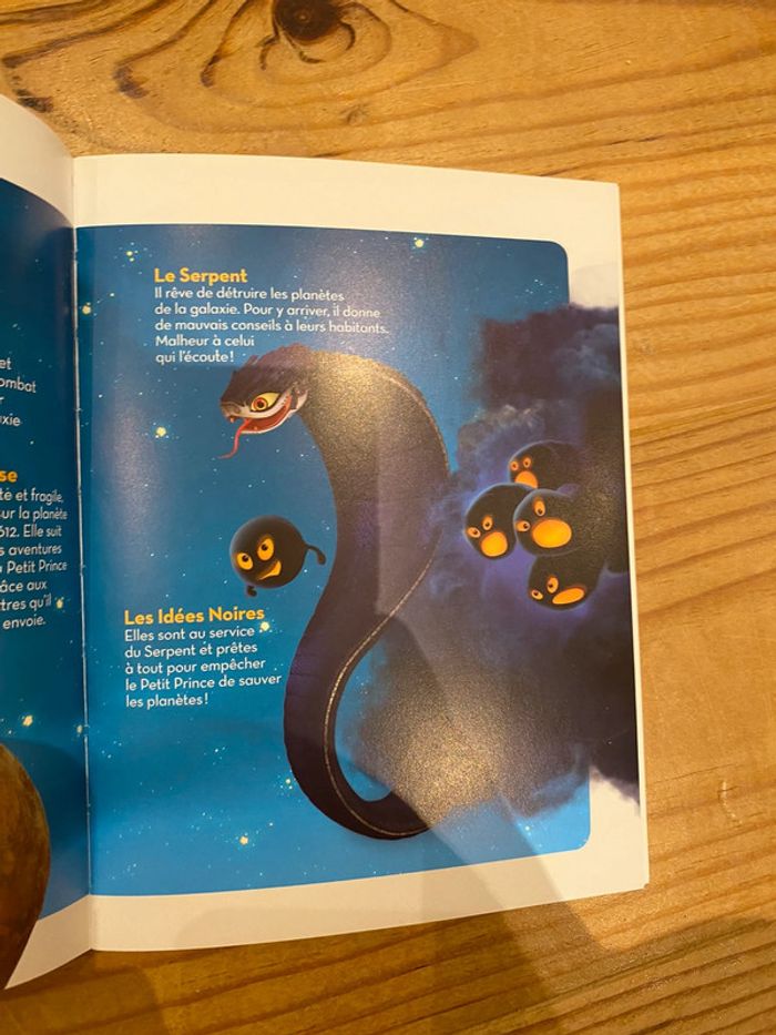 Le petit prince au secours se la rose - photo numéro 4