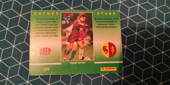 Panini future stars - photo numéro 7