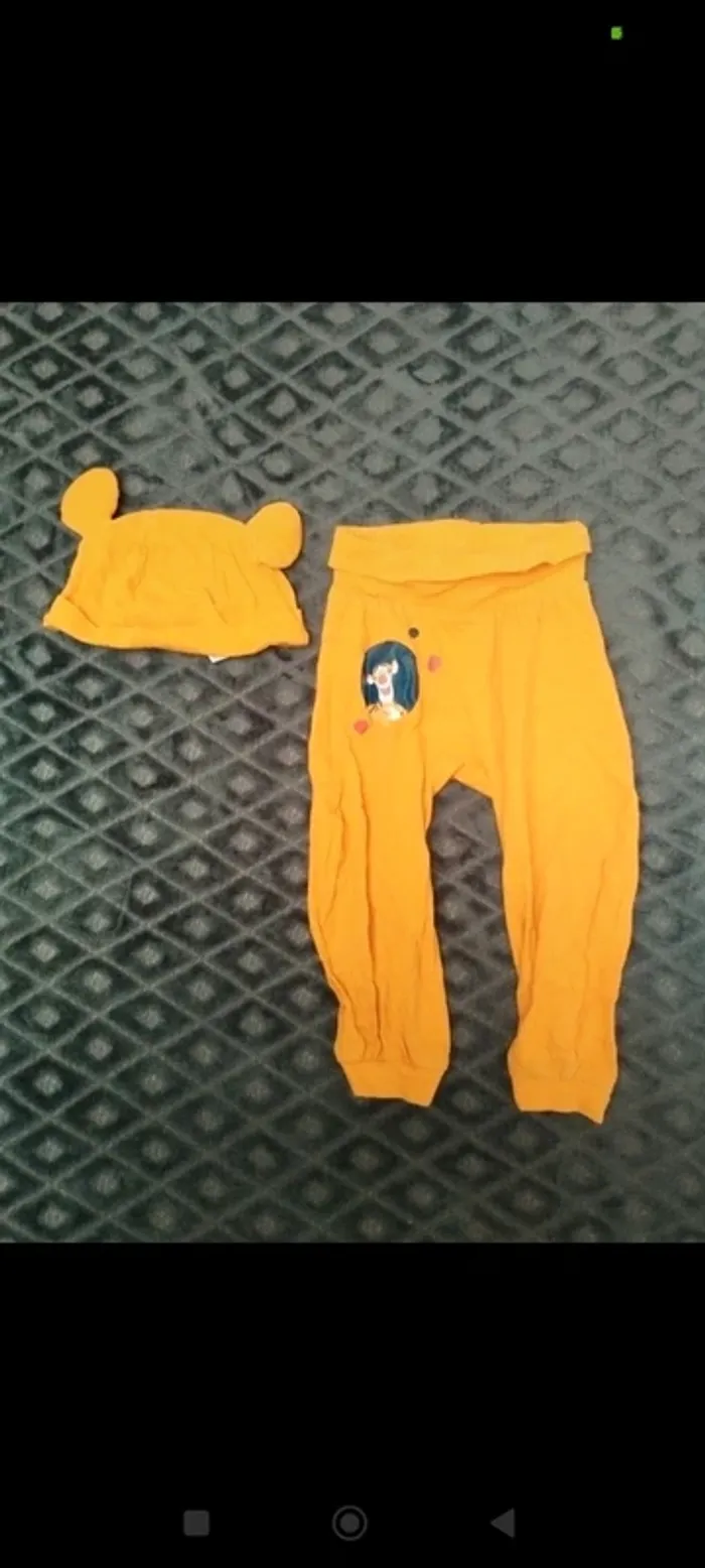Ensemble tigrou