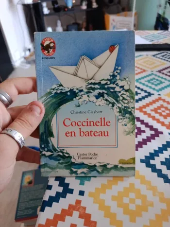 Livre coccinelle en bateau
