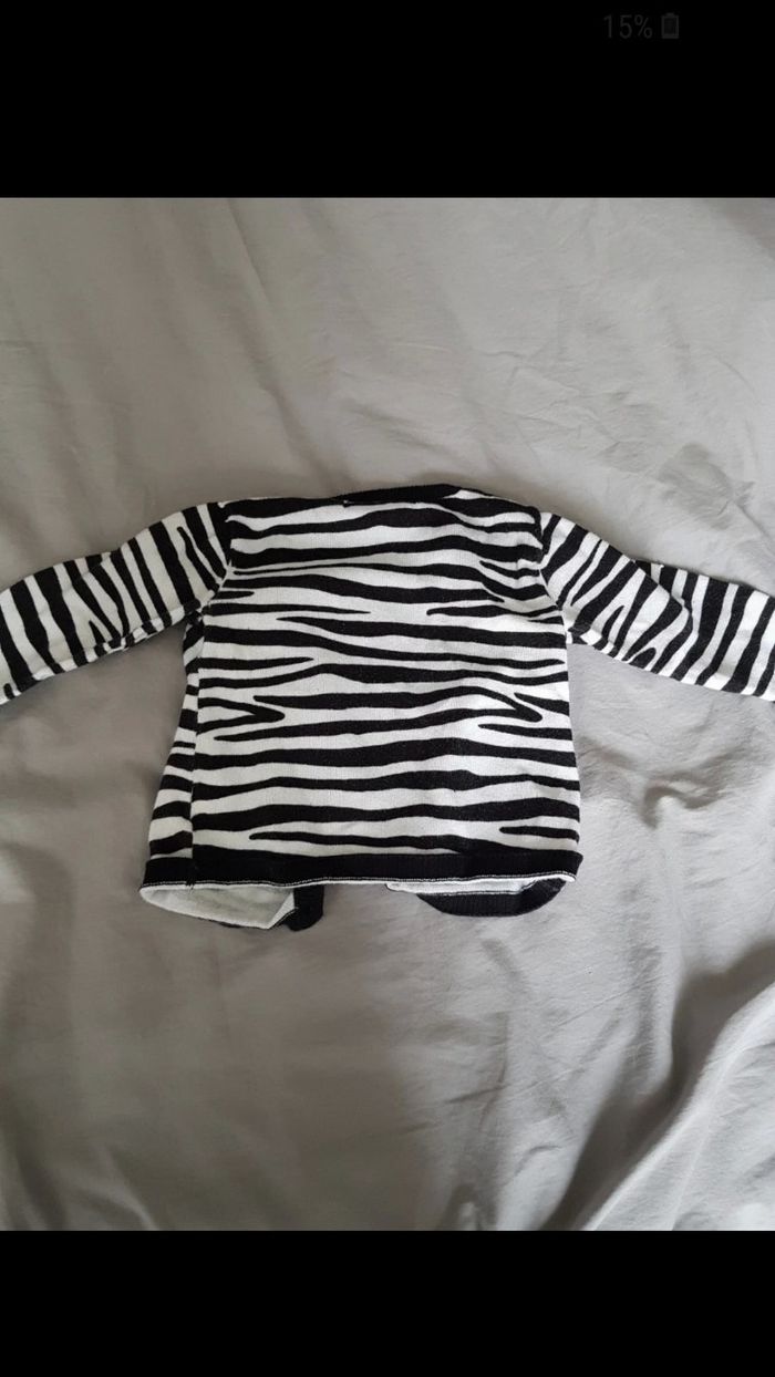 Gilet - photo numéro 4