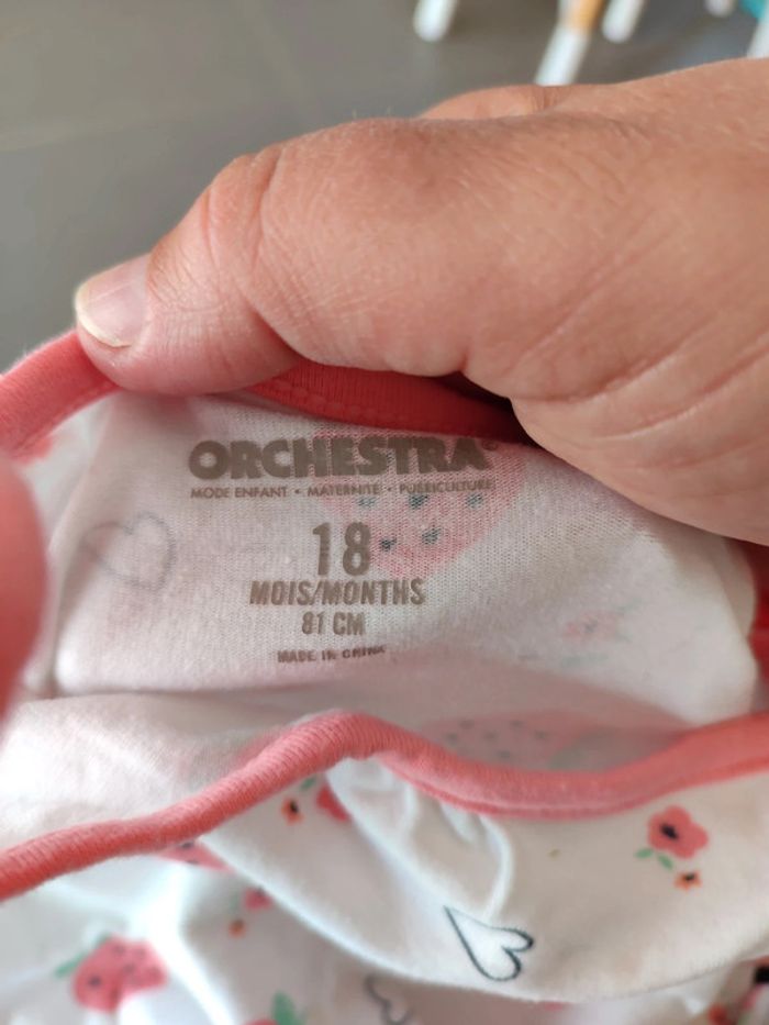 Combi short - photo numéro 2