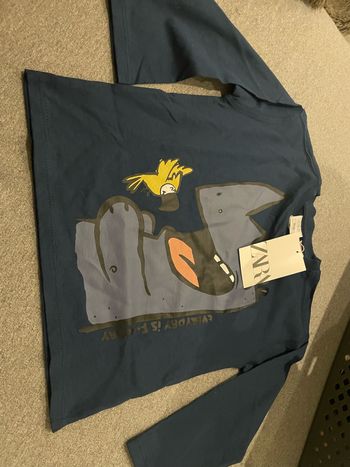 Tee shirt manche longue Zara