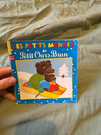 Les petits mondes de petit d’ours brun 