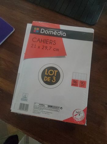 Lot de 4 cahiers 21x29.7 96 pages