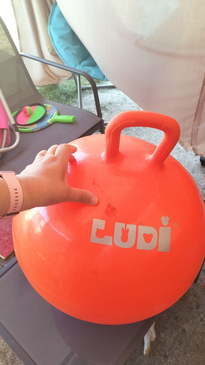 Balón sauteur ludi - photo numéro 3