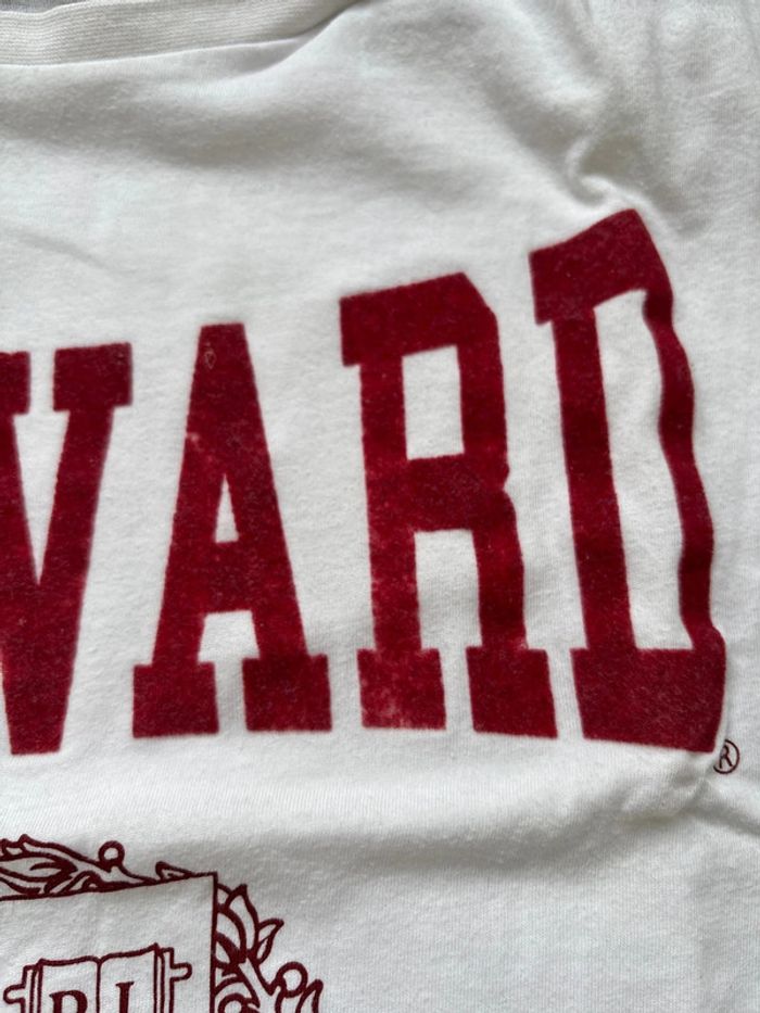 T-shirt Harvard blanc - photo numéro 2