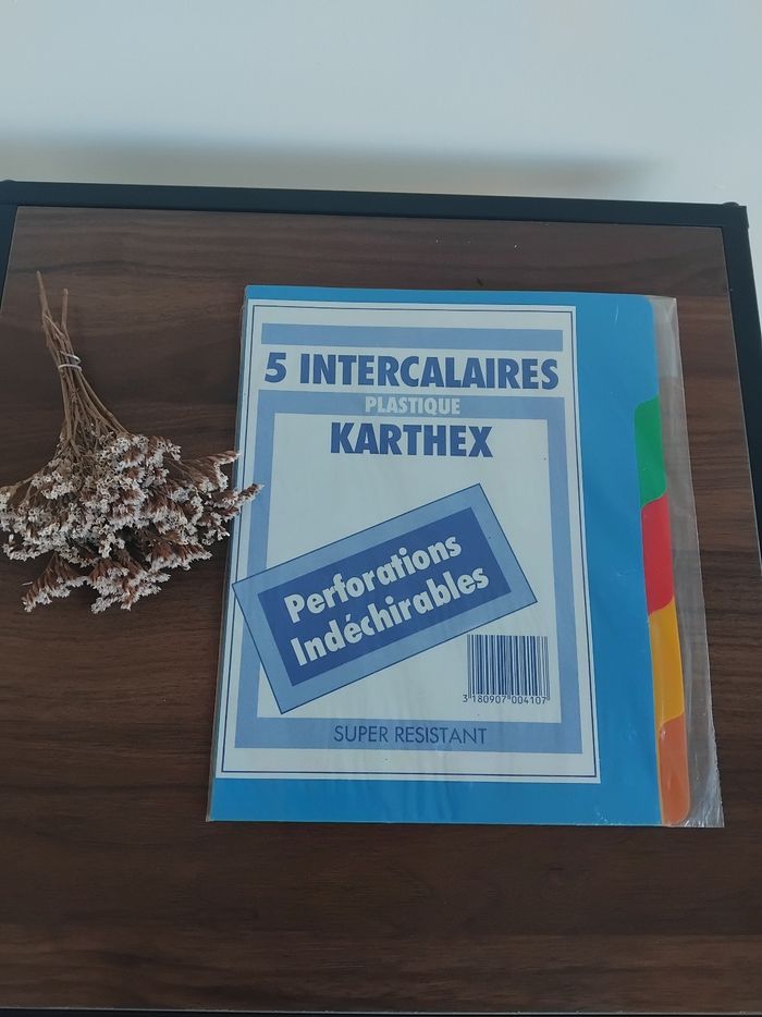 Intercalaires plastique 15x22