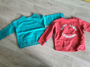 Lot de 2 sweats Zara taille 4-5 ans
