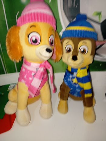 Vend lot pat patrouille