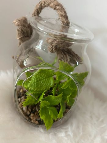 Joli plante artificielle avec lumière dans suspension en verre neuve