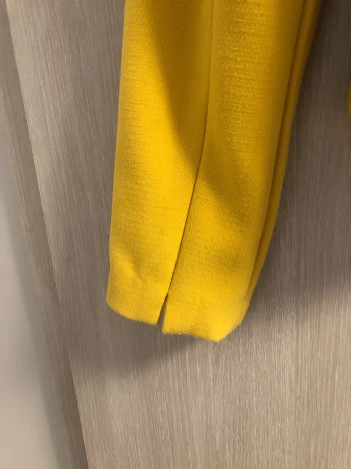 Blazer - photo numéro 8