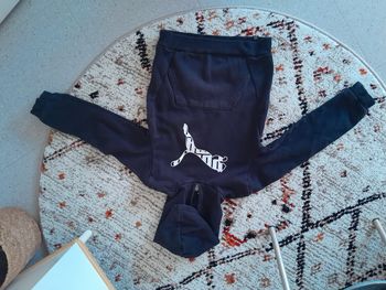 Pull Puma