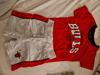 Ensemble chicago bulls