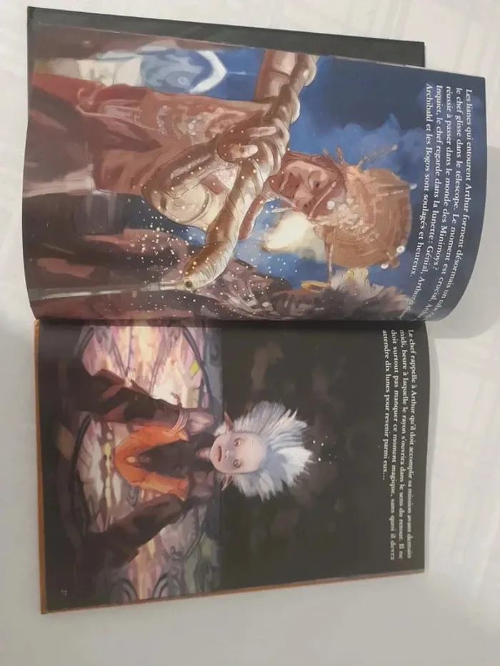 Livre Arthur et la vengeance de maltazard de Luc besson 6/8ans - photo numéro 10