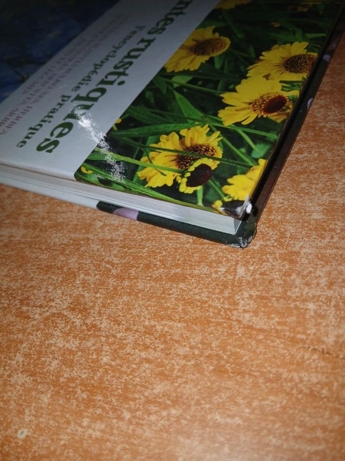Plantes rustiques l'encyclopédie pratique - photo numéro 4