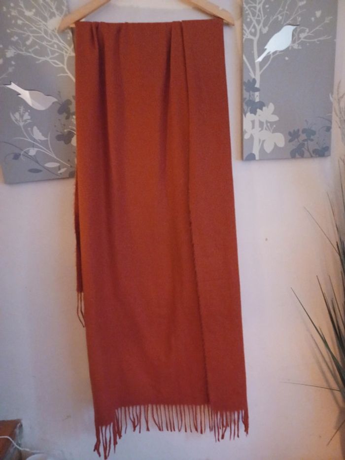Longue écharpe