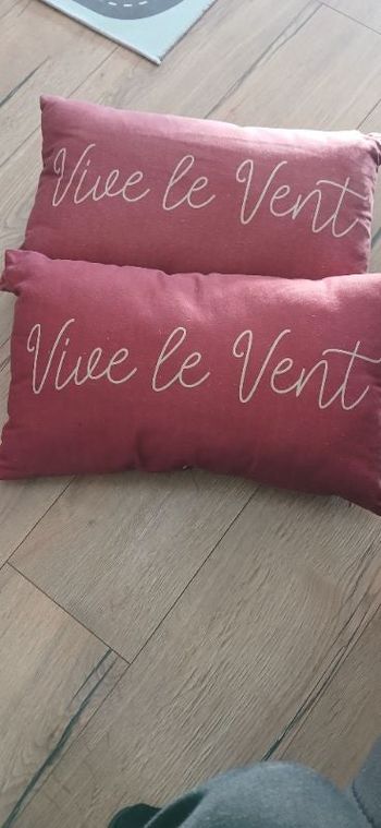 Lot de 2 coussins
