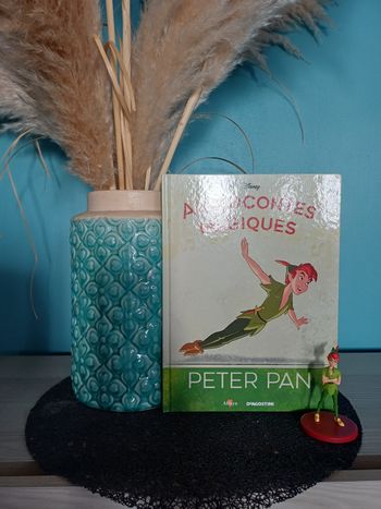 Audioconte magique Disney Peter Pan n°6
